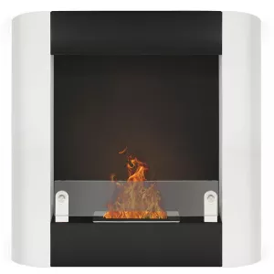 Romaethanol fireplace with two burners