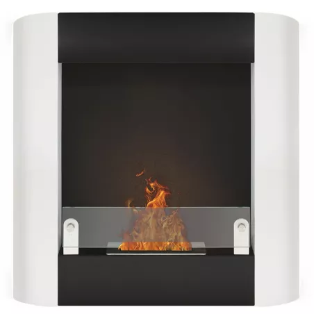 Romaethanol fireplace with two burners