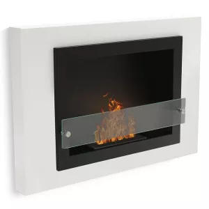 Oxford bio fireplace
