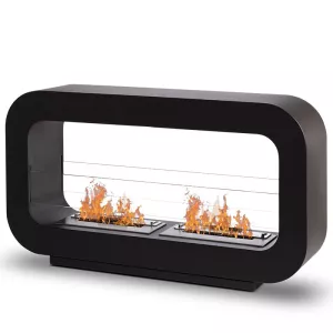 Fireplace with two burners