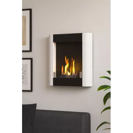 Romaethanol fireplace with two burners